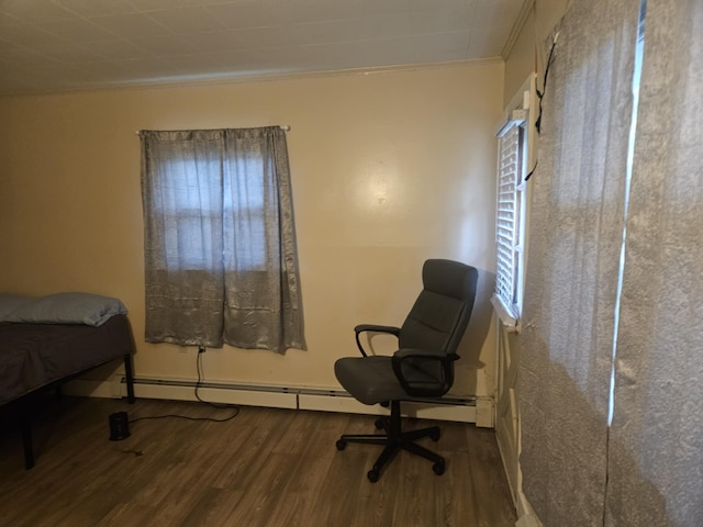 159 Summit Ave, Pocono Summit, PA 18346 - bedroom with crown molding, wood finished floors, multiple windows, and a baseboard heating unit