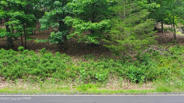 Listing photo 2 for LOT1895 Stafford Dr, Bushkill PA 18324