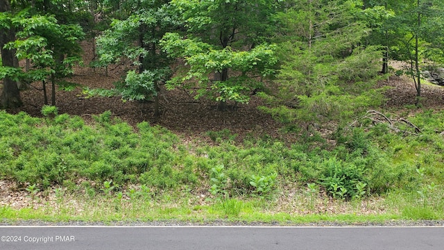 Listing photo 3 for LOT1895 Stafford Dr, Bushkill PA 18324