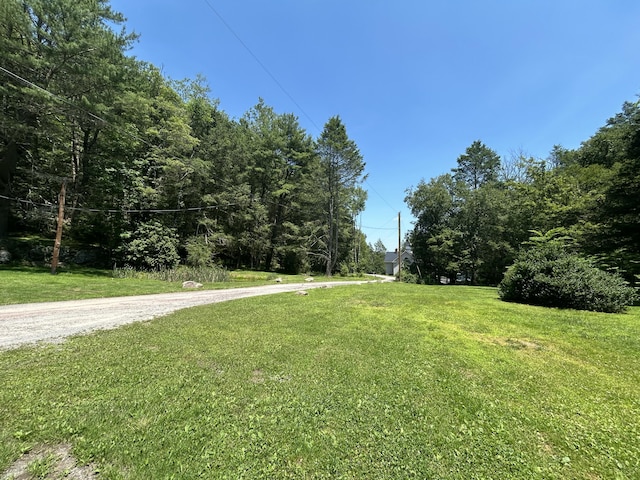 70 Indian Run Rd, Weatherly, PA 18255 - view of green lawn featuring a forest view
