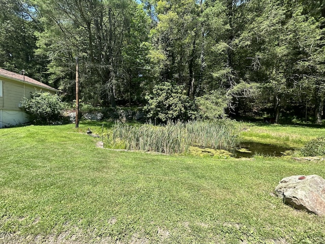 70 Indian Run Rd, Weatherly, PA 18255 - view of green lawn