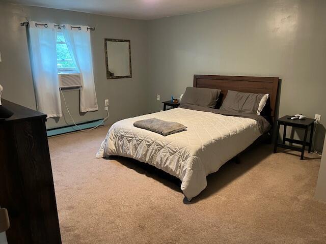 501 Lake Spangenberg Rd, Jefferson Township, PA 18436 - bedroom featuring carpet flooring and a baseboard radiator