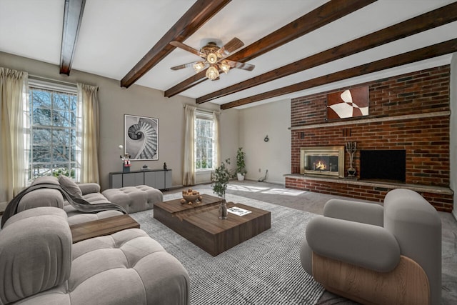 carpeted living room with a ceiling fan, a brick fireplace, beam ceiling, and a healthy amount of sunlight
