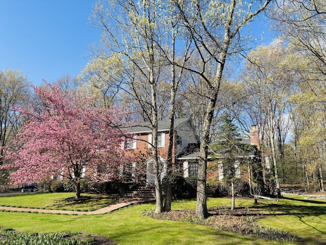 127 Ladderback Ln, Cresco, PA 18326 - view of grassy yard