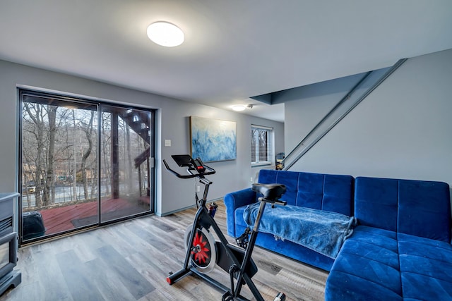 workout room featuring wood finished floors