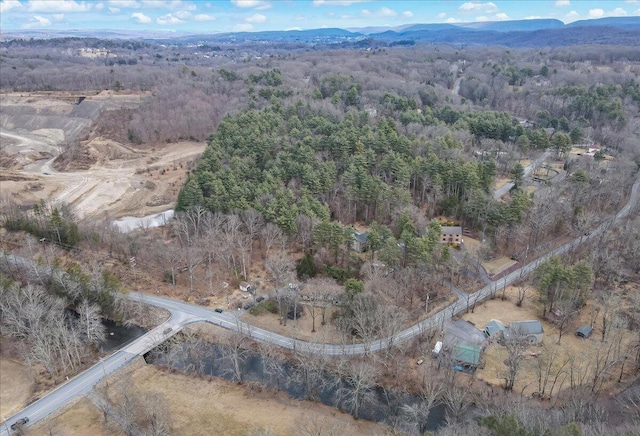 bird's eye view featuring a mountain view and a forest view