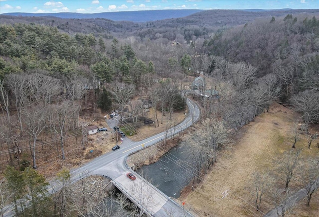 bird's eye view with a forest view