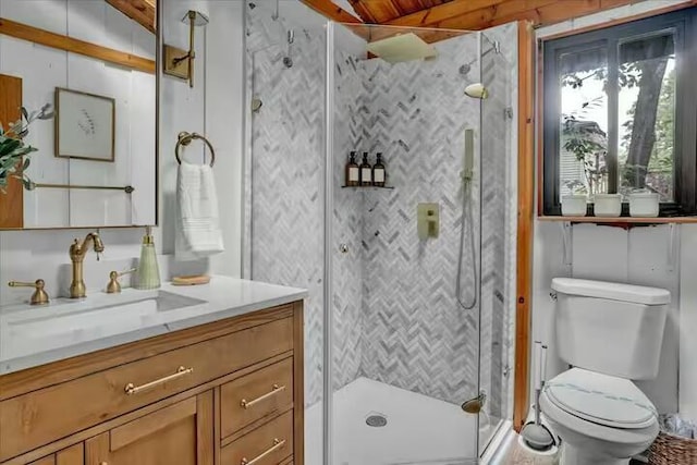 bathroom featuring vanity, a shower stall, and toilet