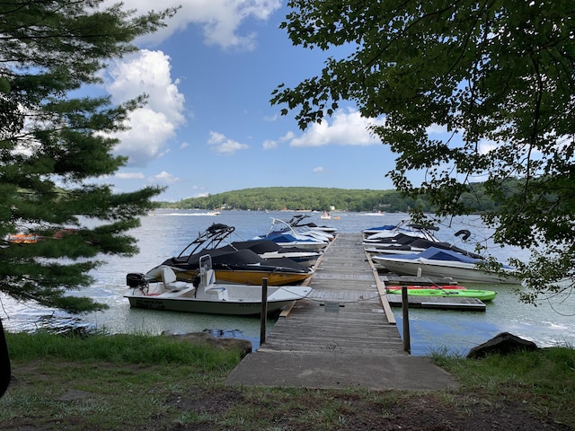52 Laurelwoods Dr, Lake Harmony, PA 18624 - photo 78