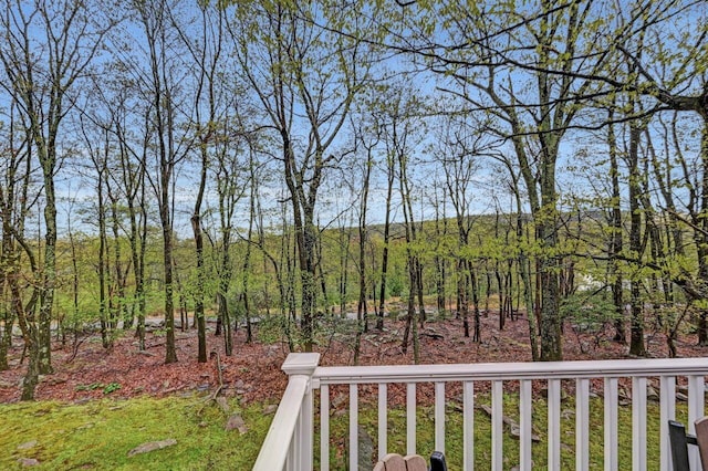52 Laurelwoods Dr, Lake Harmony, PA 18624 - photo 59