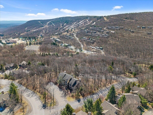 429 Birch Ct, Tannersville, PA 18372 - photo 3