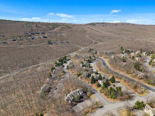 429 Birch Ct, Tannersville, PA 18372 - photo 38