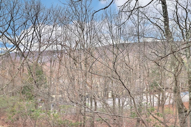 429 Birch Ct, Tannersville, PA 18372 - photo 15