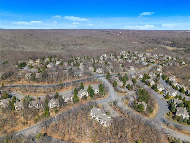 429 Birch Ct, Tannersville, PA 18372 - photo 37