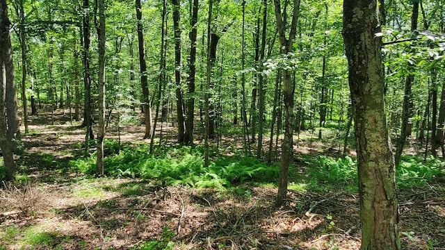 3116 Woodland Ct, Bushkill, PA 18324 - photo 27