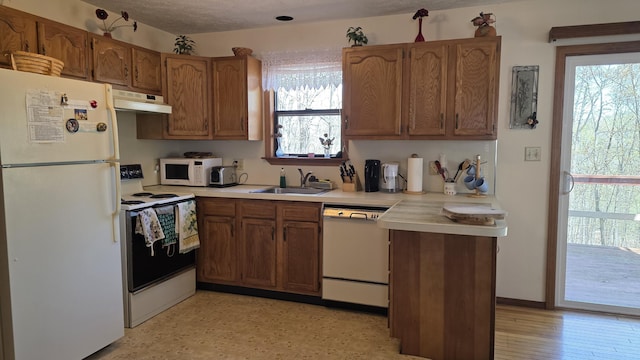 kitchen featuring brown cabinets, a sink, white appliances, light countertops, and under cabinet range hood
