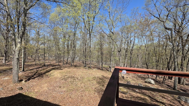 view of yard featuring a view of trees