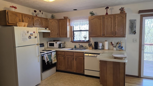 kitchen with a sink, white appliances, light countertops, brown cabinetry, and under cabinet range hood