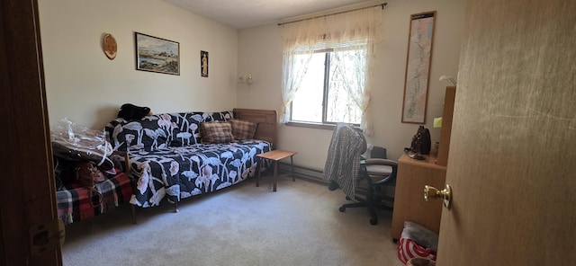 bedroom with carpet