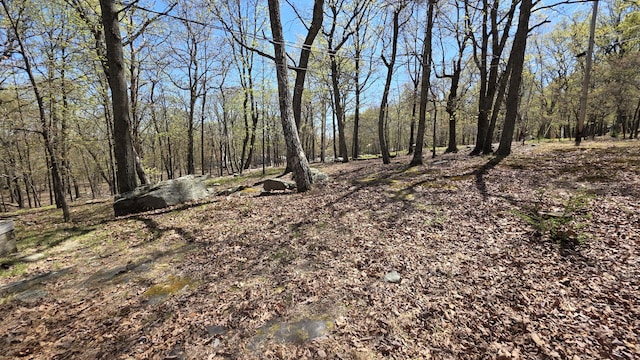 view of landscape with a wooded view