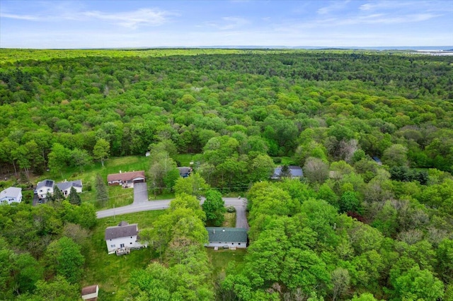 126 Keystone Ln, Tobyhanna, PA 18466 - aerial view of a forest