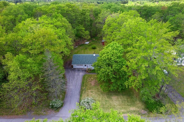 126 Keystone Ln, Tobyhanna, PA 18466 - view of subject property featuring a forest