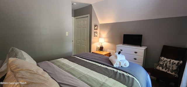 bedroom featuring vaulted ceiling