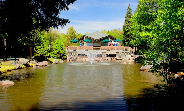 248 Miller Dr, Pocono Pines, PA 18350 - view of water feature
