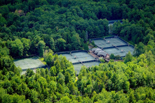 248 Miller Dr, Pocono Pines, PA 18350 - aerial view featuring a wooded view