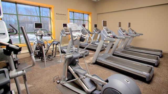 248 Miller Dr, Pocono Pines, PA 18350 - workout area with carpet floors