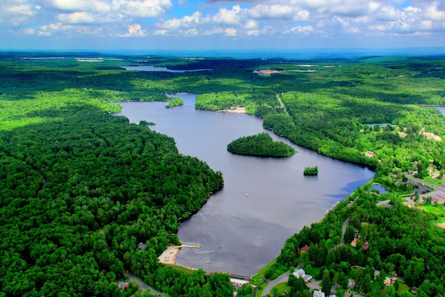 248 Miller Dr, Pocono Pines, PA 18350 - bird's eye view with a water view and a wooded view