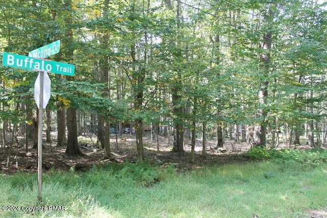 8 Buffalo Trl, Pocono Lake PA, 18347 land for sale