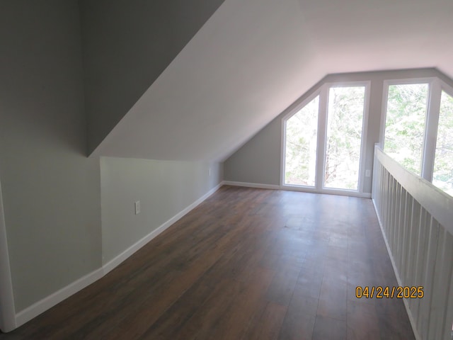 5 Bruin Ct, Lake Harmony, PA 18624 - additional living space with vaulted ceiling, a wealth of natural light, and dark wood-type flooring