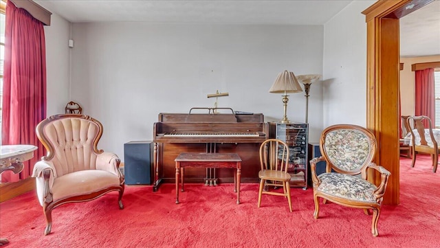 sitting room featuring carpet flooring