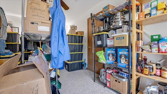 205 Flatbrook Way, Milford, PA 18337 - view of storage