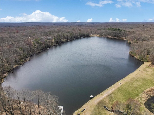 205 Flatbrook Way, Milford, PA 18337 - birds eye view of property featuring a water view and a forest view