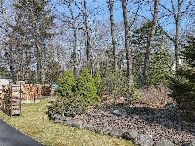 205 Flatbrook Way, Milford, PA 18337 - view of yard