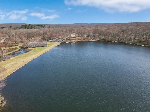 205 Flatbrook Way, Milford, PA 18337 - bird's eye view featuring a water view
