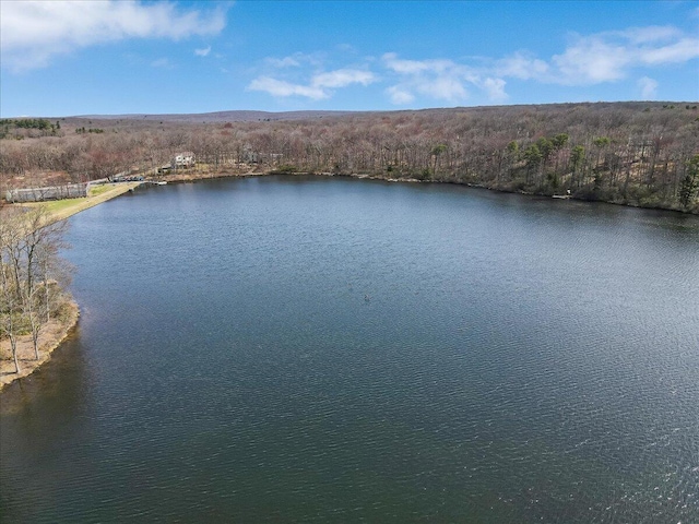 205 Flatbrook Way, Milford, PA 18337 - drone / aerial view featuring a wooded view and a water view