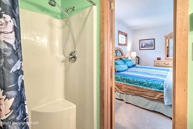 296 Overlook Way, Tannersville, PA 18372 - bathroom with walk in shower