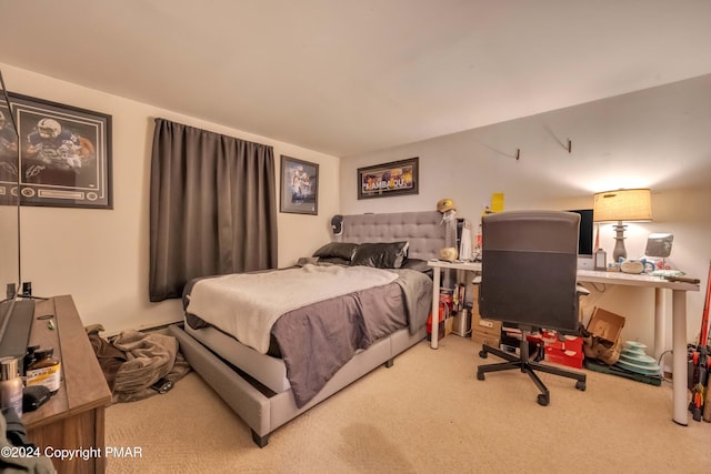 bedroom featuring carpet