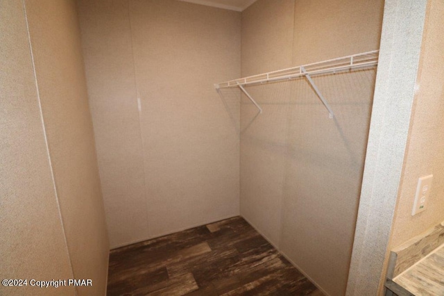 spacious closet featuring dark wood-style flooring