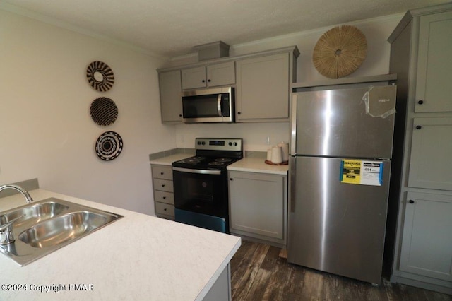 kitchen with gray cabinets, stainless steel appliances, a sink, and light countertops