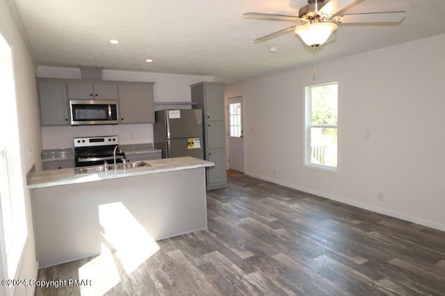 kitchen featuring dark wood finished floors, gray cabinets, stainless steel appliances, light countertops, and a sink