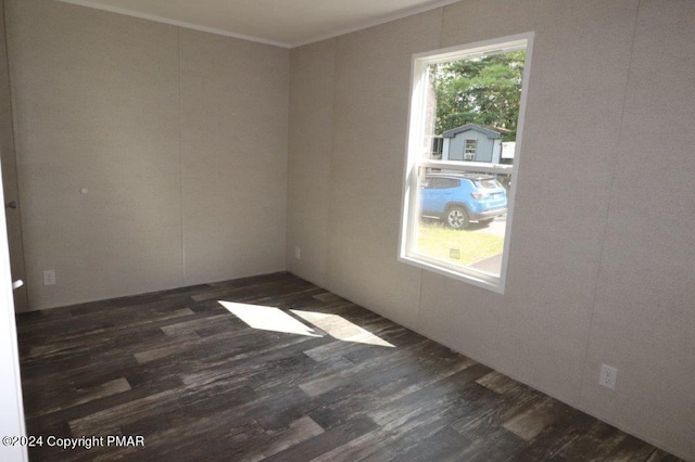 spare room with dark wood-type flooring and ornamental molding