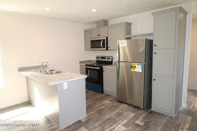 kitchen featuring dark wood finished floors, ornamental molding, a peninsula, stainless steel appliances, and a sink