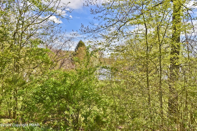 106 Windsor Dr, Lake Ariel, PA 18436 - view of woods
