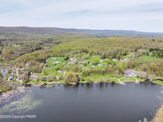 106 Windsor Dr, Lake Ariel, PA 18436 - bird's eye view of a nearby body of water