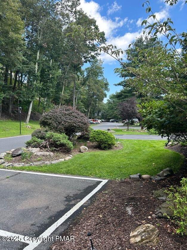 view of property's community featuring a lawn