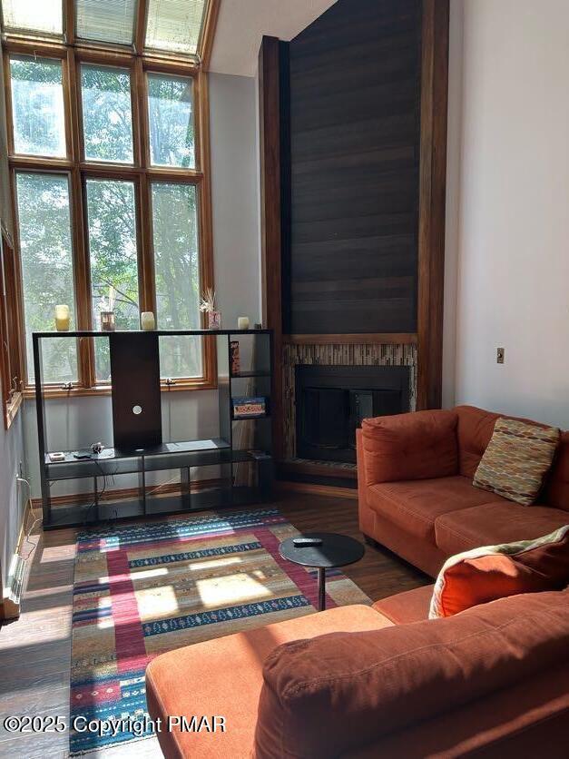 living room featuring a healthy amount of sunlight and hardwood / wood-style floors